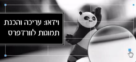 קישור לכתבה קישור לכתבה
