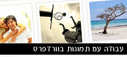 קישור לכתבה קישור לכתבה